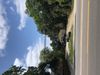 3710 El Camino Real photo